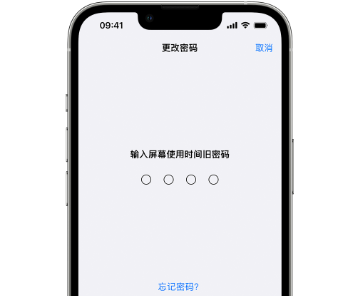 文城镇iPhone屏幕维修分享iPhone屏幕使用时间密码忘记了怎么办 