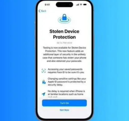文城镇苹果授权维修店分享被盗设备保护功能开启方法 
