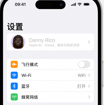 文城镇appleID维修服务iPhone设置中Apple ID显示为灰色无法使用