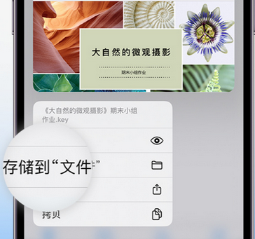 文城镇apple维修中心分享iPhone文件应用中存储和找到下载文件