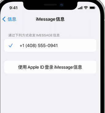 文城镇apple维修iPhone上无法正常发送iMessage信息 