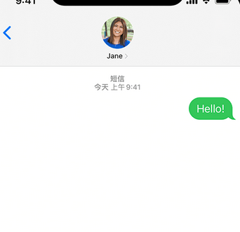 文城镇apple维修iPhone上无法正常发送iMessage信息