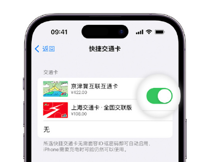 文城镇apple维修点分享iPhone上更换Apple Pay快捷交通卡手绘卡面 