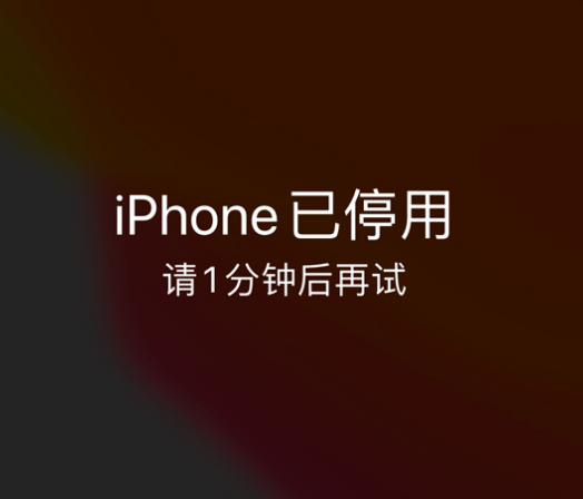 文城镇苹果手机维修分享:iPhone 显示“不可用”或“已停用”怎么办？还能保留数据吗？ 