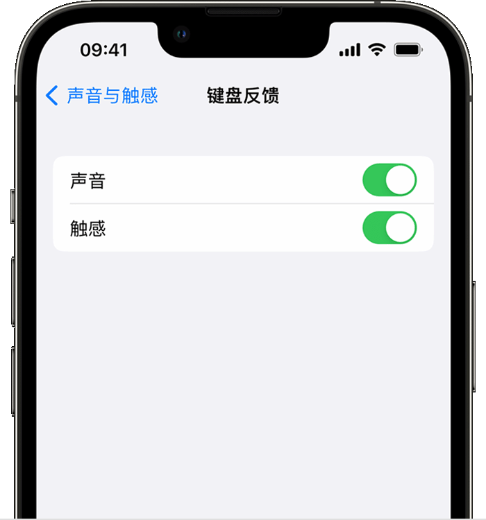 文城镇苹果14维修店分享如何在 iPhone 14 机型中使用触感键盘 