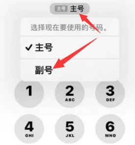 文城镇苹果14维修店分享iPhone 14 Pro Max使用副卡打电话的方法 