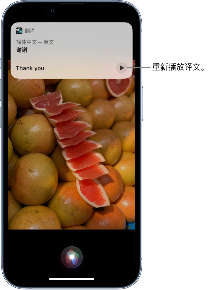 文城镇苹果14维修分享 iPhone 14 机型中使用 Siri：了解 Siri 能帮你做什么 