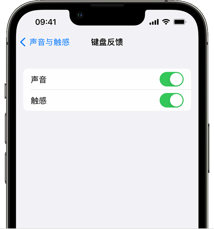 文城镇苹果14维修分享iPhone 14 系列机型如何开启键盘声音或触感反馈 