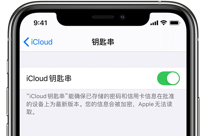 文城镇苹果手机维修分享在 iPhone 上开启 iCloud 钥匙串之后会储存哪些信息 