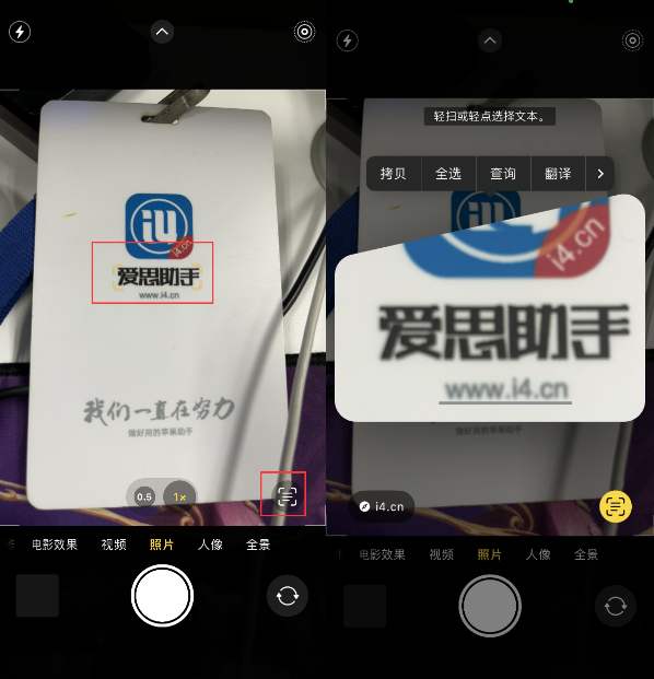 文城镇苹果手机维修分享升级iOS 16后如何通过相机翻译文本 