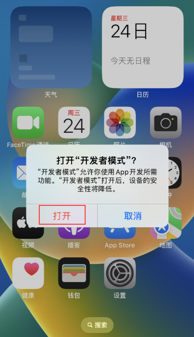 文城镇苹果手机维修分享如何打开开发者模式 