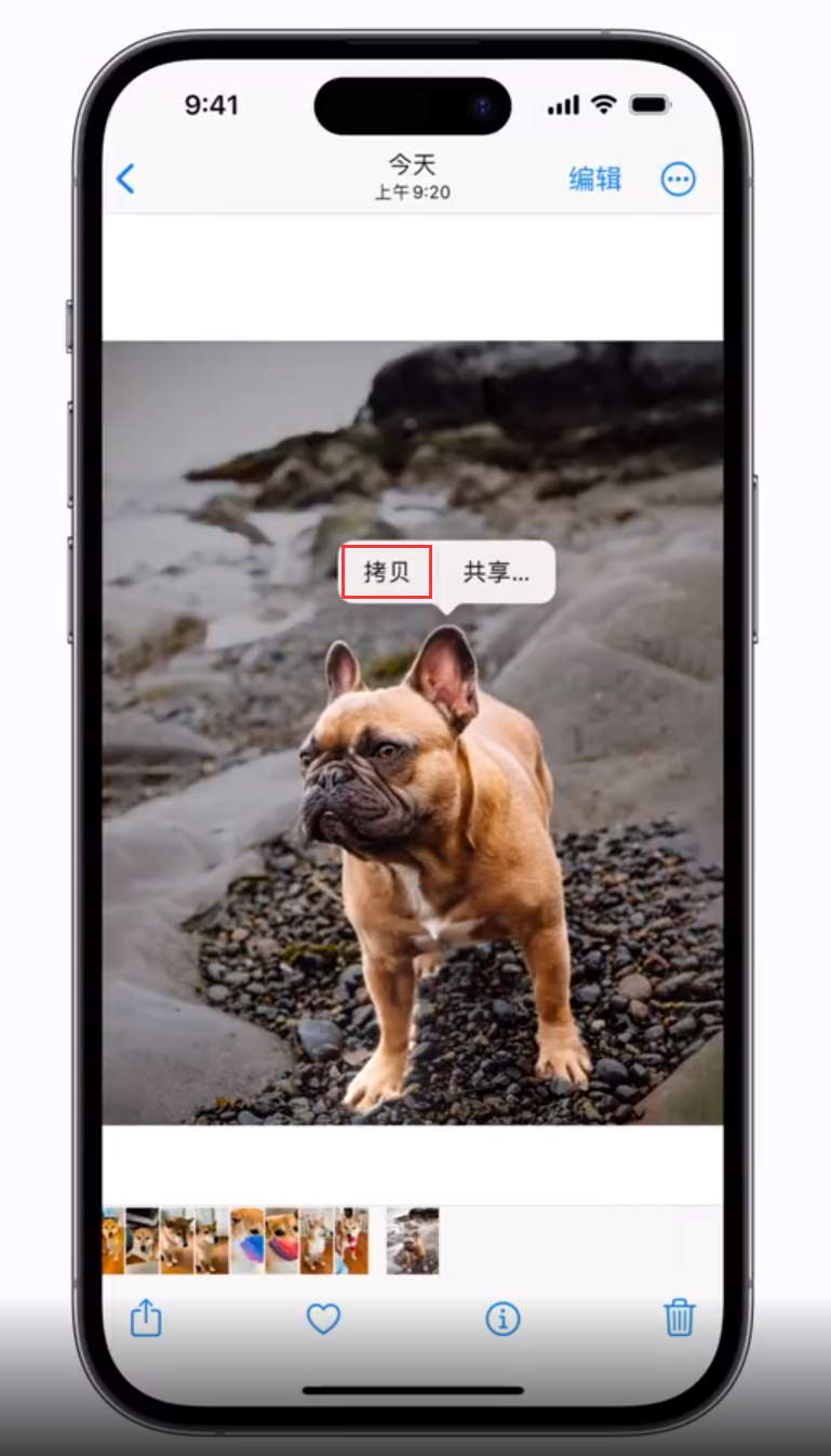 文城镇苹果手机维修分享 iOS 16 自带一键抠图功能 