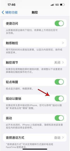 文城镇苹果手机维修分享iPhone手机如何设置摇一摇删除文字 