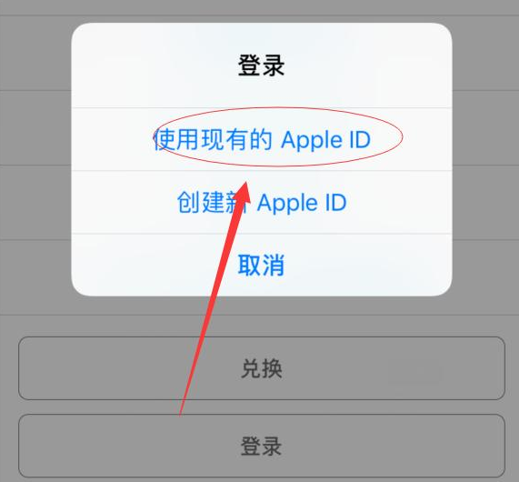 文城镇苹果手机维修分享两台iPhone设备可以同时登录一个Apple ID吗 