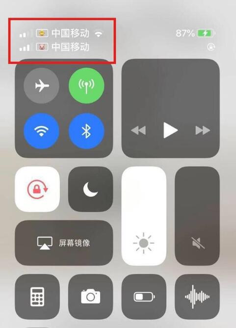 文城镇苹果手机维修分享为 iPhone 12 双卡设置标签 